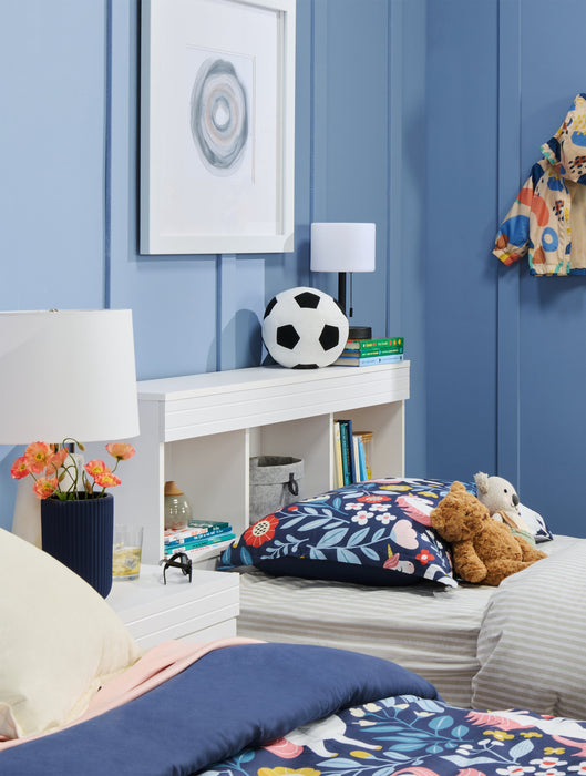 Sea Shell II Framed Artwork Raised Under Glass with Mat - 24\" x 24\"