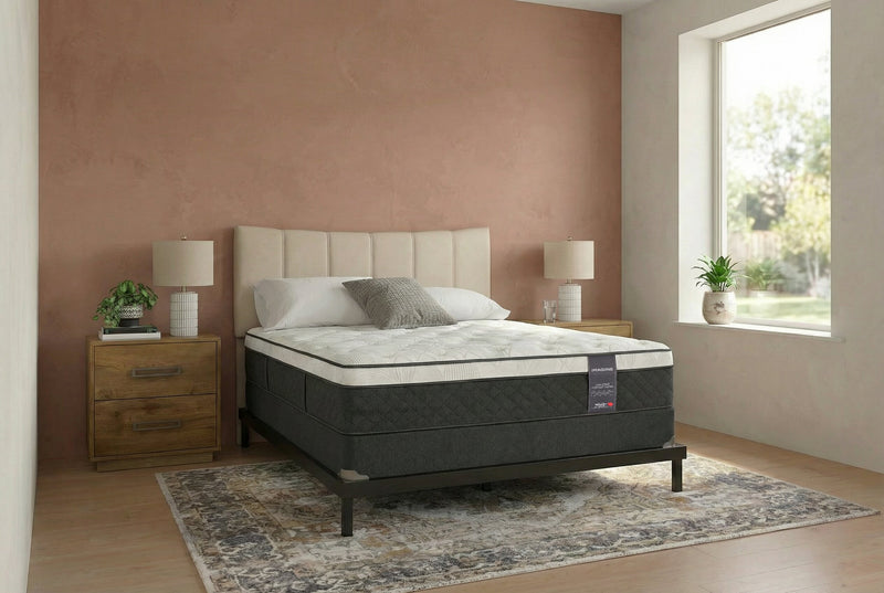 Springwall Encore Imagine Eurotop Plush Queen Mattress Set