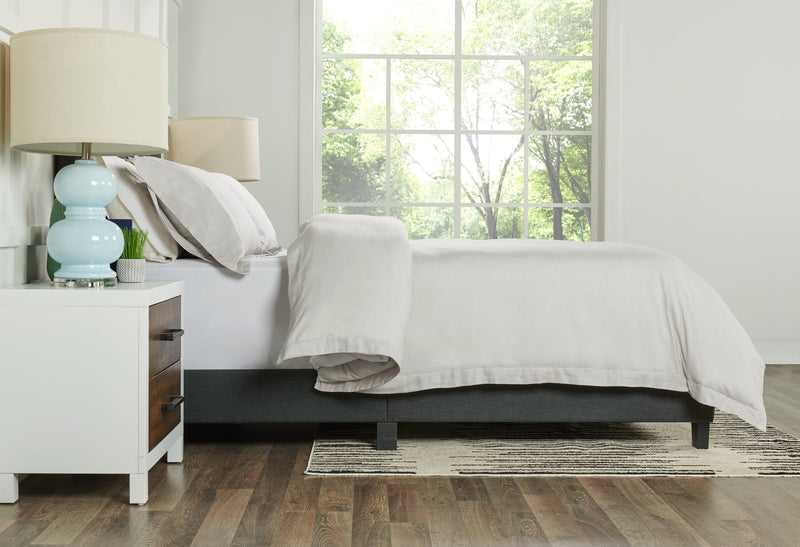 Kort & Co. Antarctica 3-Piece Queen Duvet Cover Set