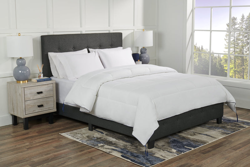 Kort & Co. King Duvet Insert