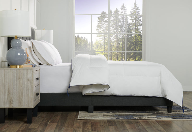 Kort & Co. Queen Duvet Insert