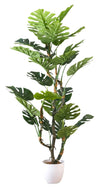 Monstera 61\" Artificial Plant