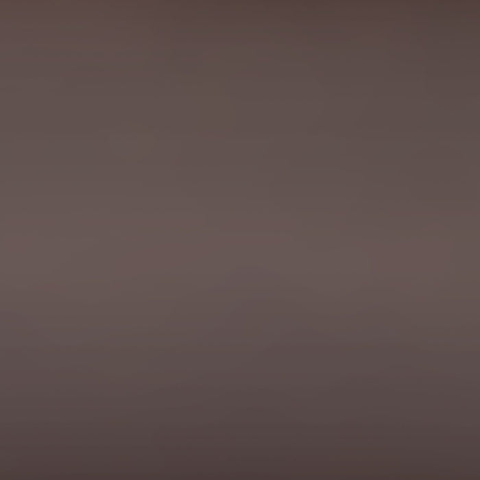 Noah Bunk Bed with Ladder & Guard Rail for Kids, Metal, Dark Bronze - Twin/Twin