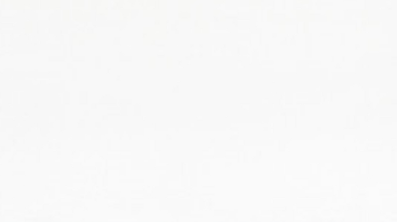 Prestige by Unique 24-Inch Convection Gas Range - UGP-24V PC1 W