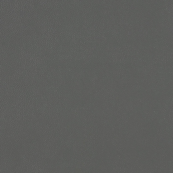 Enzo 26\" Genuine Leather Accent Chair with Biscuit Tufting, Track Arms and Wood Legs - Dark Grey