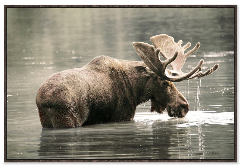 Quick Dip Framed Canvas Artwork – 31\" x 46\"