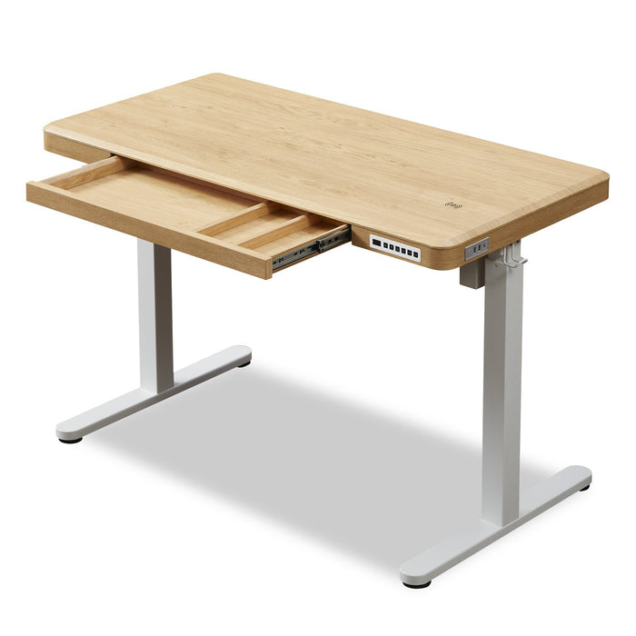 Loft 47.24” Height-Adjustable Office Desk with Storage and Wireless Charging - Natural