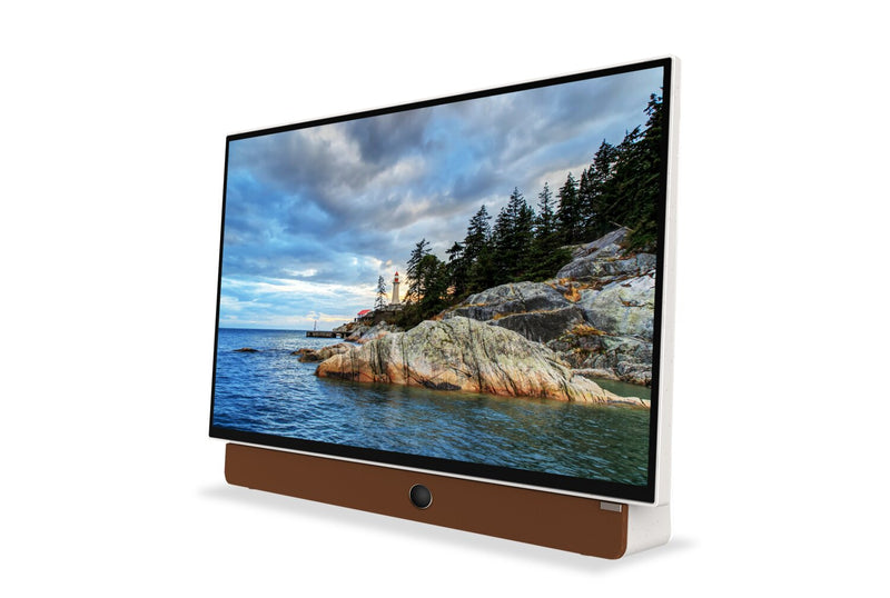  Skyworth Companion Portable™ 1080p FHD LED Display w/ Google TV (24P100) 