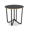 Xander 24\" Modern Round Glass Top End Table - Black and Gold with Metal Legs