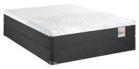 Springwall Spa 10 Firm Smooth Top Queen Mattress in a Box Set 