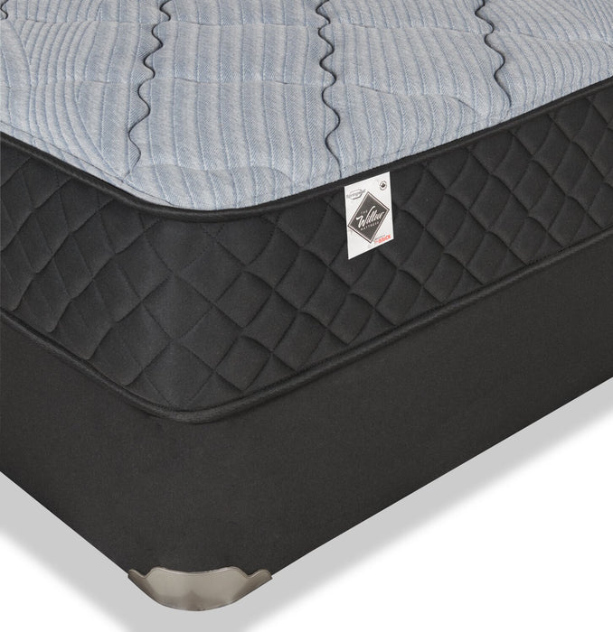 Springwall Red Cedar Tight Top Medium King Mattress-in-a-Box Set