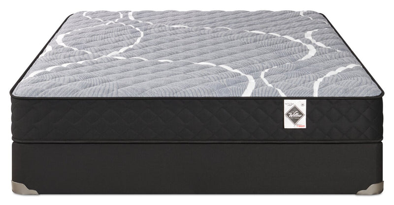 Springwall White Birch Tight Top Firm Queen Mattress-in-a-Box Set