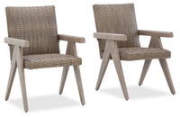 Muskoka Outdoor Patio Set of 2 Chairs - Resin Wicker, UV & Weather Resistant - Beige 