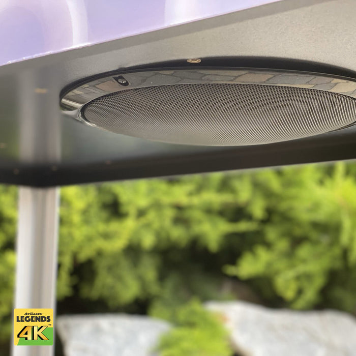 Legends 4K Surround Sound Feedback Kit