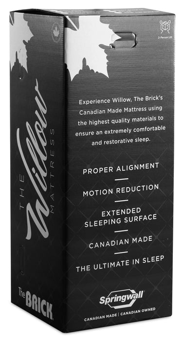 Springwall White Birch Tight Top Firm Queen Mattress-in-a-Box Set