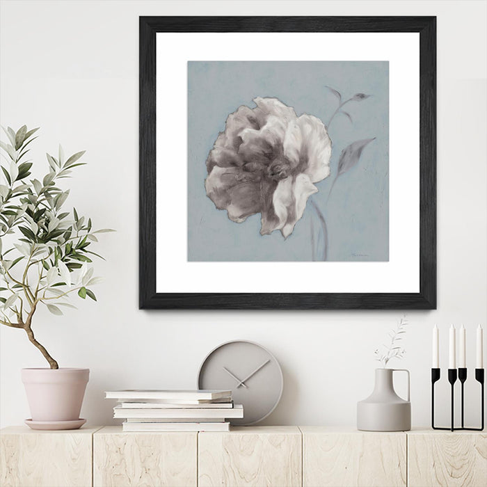 \"Floral Symposium Ii\" Matted and Framed Black 36x36 Wall Art