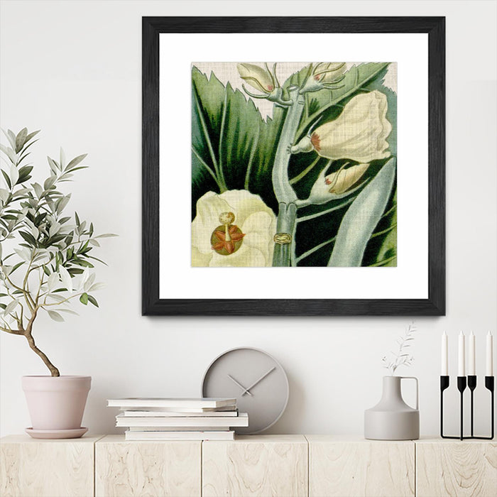 \"Cropped Turpin Tropicals Iii\" Matted and Framed Black 36x36 Wall Art