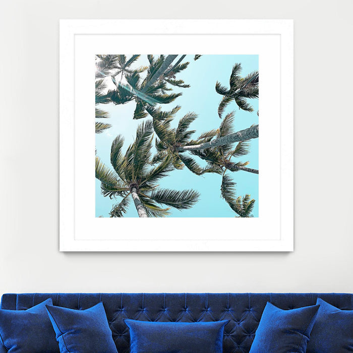 \"Palm 03\" Matted and Framed White 36x36 Wall Art