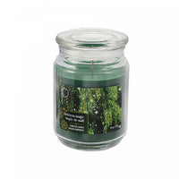 18 Oz Scented Jar Candle Christmas Magic - Set of 2