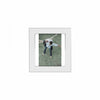 Lucent Frame 4 x 6 White Col - Set of 2 Frames