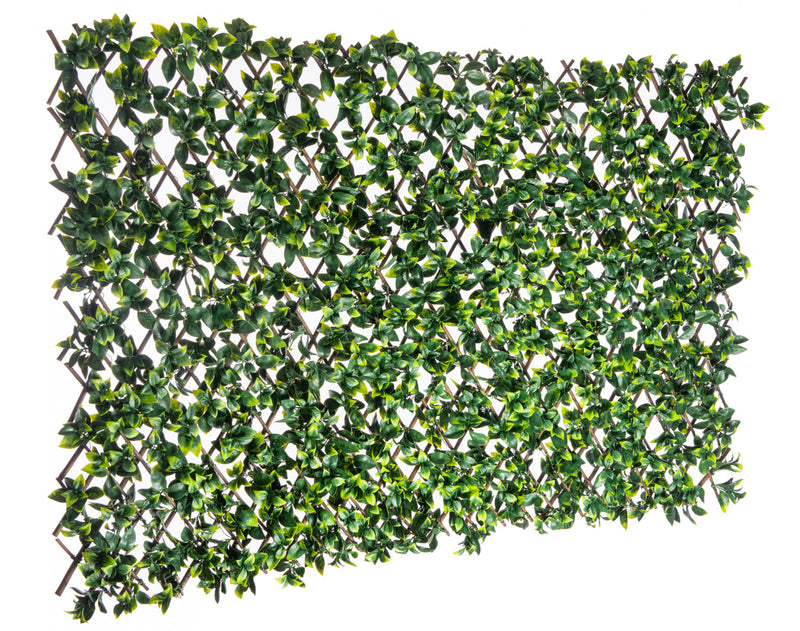 Artificial Willow Expandable Trellis 36\"x 72\" Gardenia Leaves