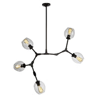 Organic 5-Light Chandelier I 