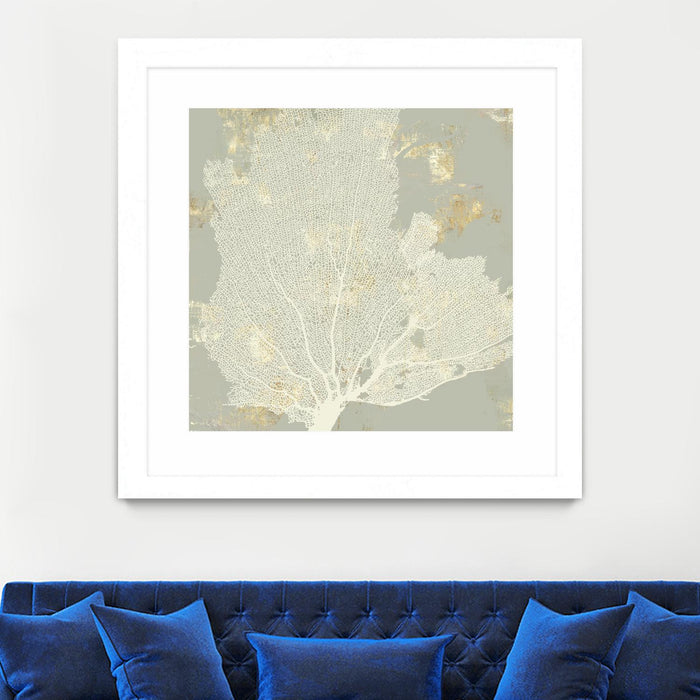 \"Sea Coral I\" Matted and Framed White 30x30 Wall Art