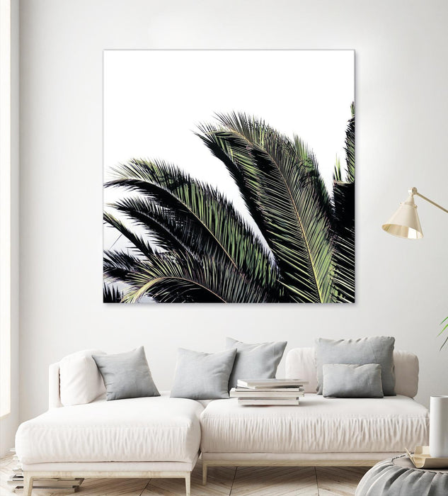 \"Cape Storm\" Giant Art 72x72 Wall Art