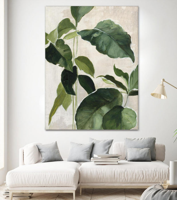 \"Tropical Study Ii\" Giant Art 72x54 Wall Art