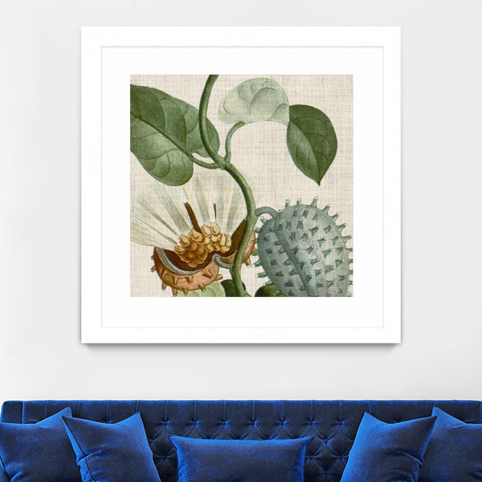 \"Cropped Turpin Tropicals Ii\" Matted and Framed White 30x30 Wall Art