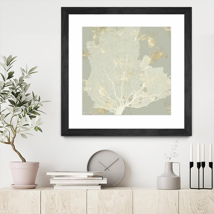 \"Sea Coral I\" Matted and Framed Black 36x36 Wall Art
