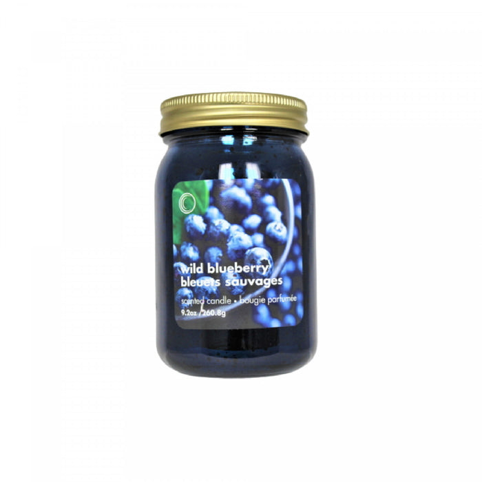 9.2oz Electroplated Mason Jar Candle Wild Blueberry - Set of 2