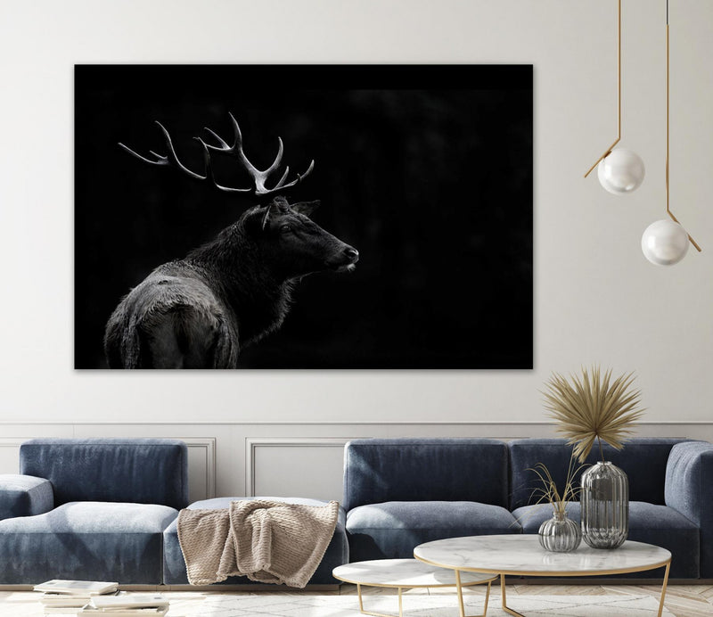 \"The Deer Soul\" Giant Art 72x48 Wall Art