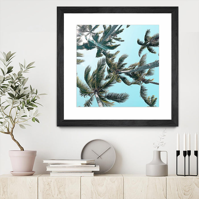 \"Palm 03\" Matted and Framed Black 36x36 Wall Art