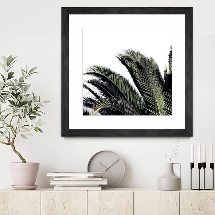 \"Cape Storm\" Matted and Framed Black 36x36 Wall Art