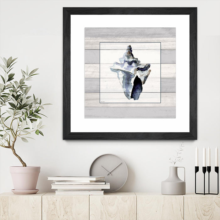 \"Muted Blue Sea Conch On Wood\" Matted and Framed Black 36x36 Wall Art