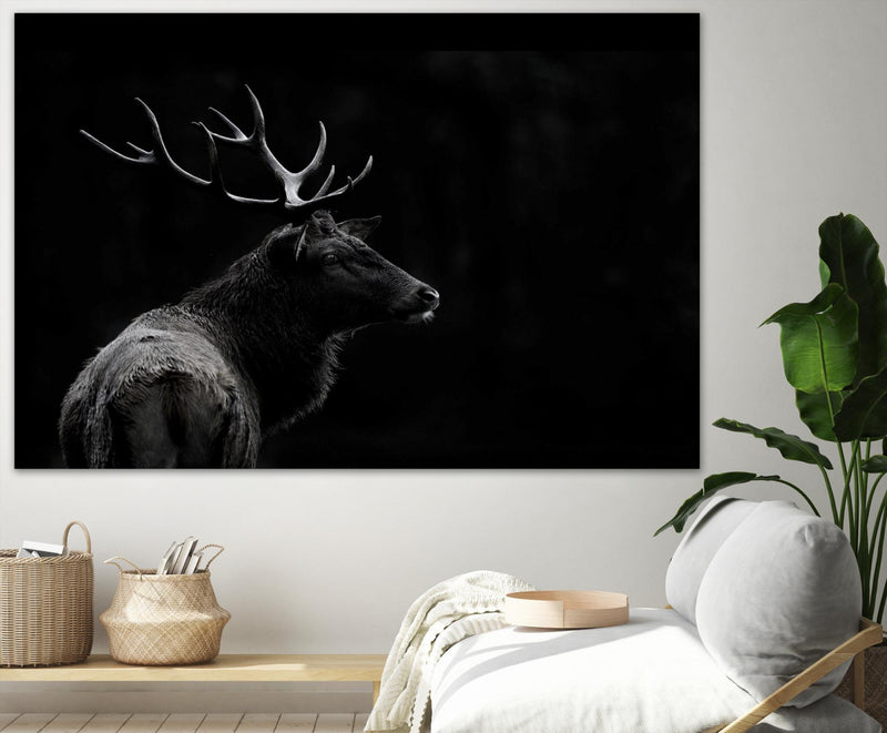 \"The Deer Soul\" Giant Art 72x48 Wall Art