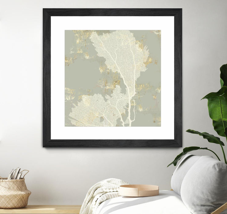 \"Sea Coral Ii\" Matted and Framed Black 30x30 Wall Art