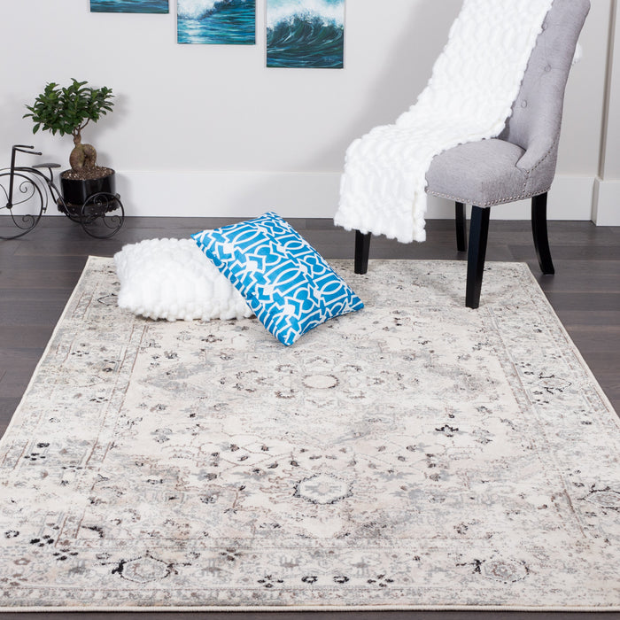 Far Grey 4x6 Area Rug