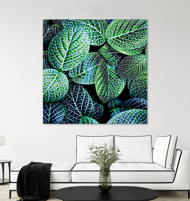 \"Leaf Viii\" Giant Art 54x54 Wall Art