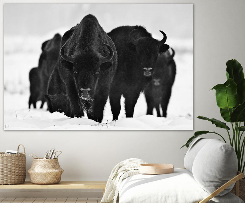 \"Europeans Bizons\" Giant Art 84x54 Wall Art