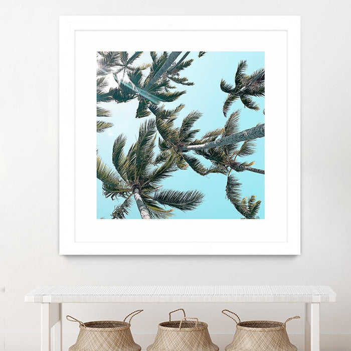 \"Palm 03\" Matted and Framed White 30x30 Wall Art