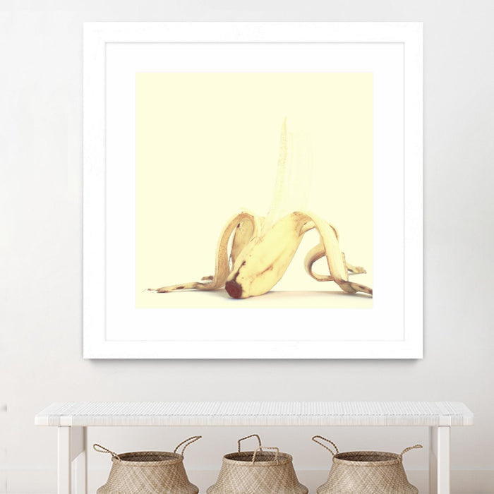 \"Banada Honey Puff\" Matted and Framed White 30x30 Wall Art