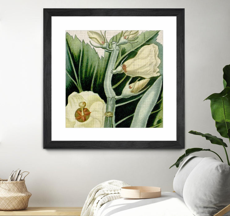 \"Cropped Turpin Tropicals Iii\" Matted and Framed Black 36x36 Wall Art