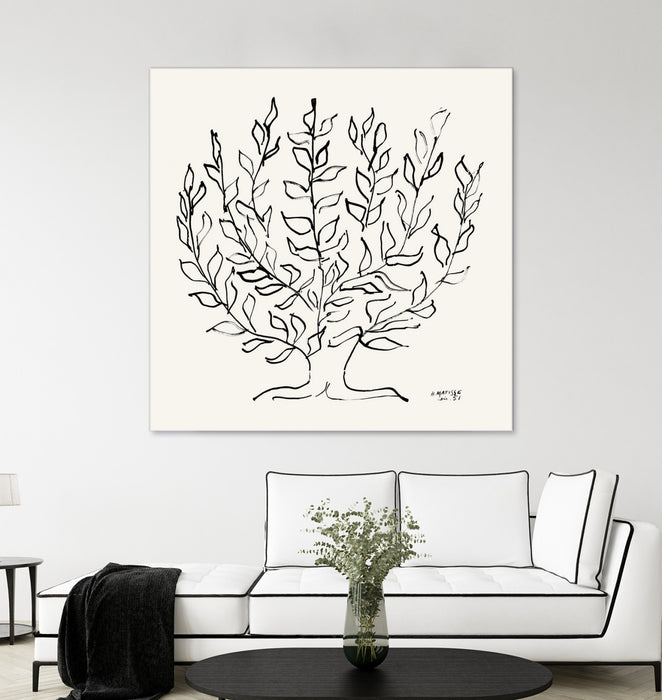 \"L'arbre Platane\" Giant Art 72x72 Wall Art