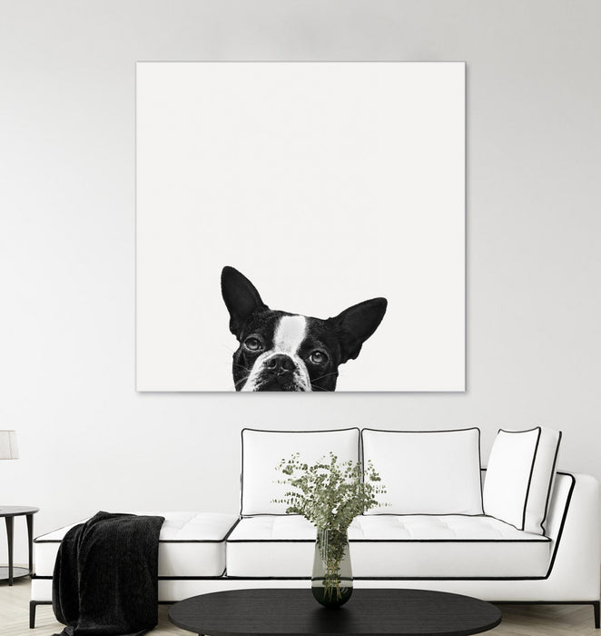\"Loyalty\" Giant Art 54x54 Wall Art