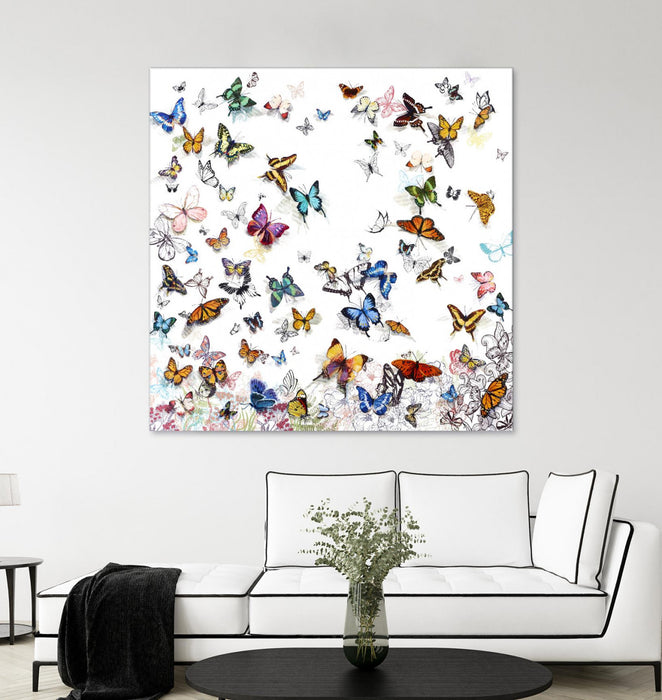 \"Papillon\" Giant Art 72x72 Wall Art