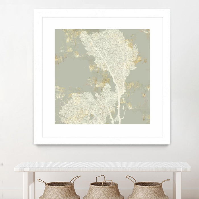 \"Sea Coral Ii\" Matted and Framed White 36x36 Wall Art