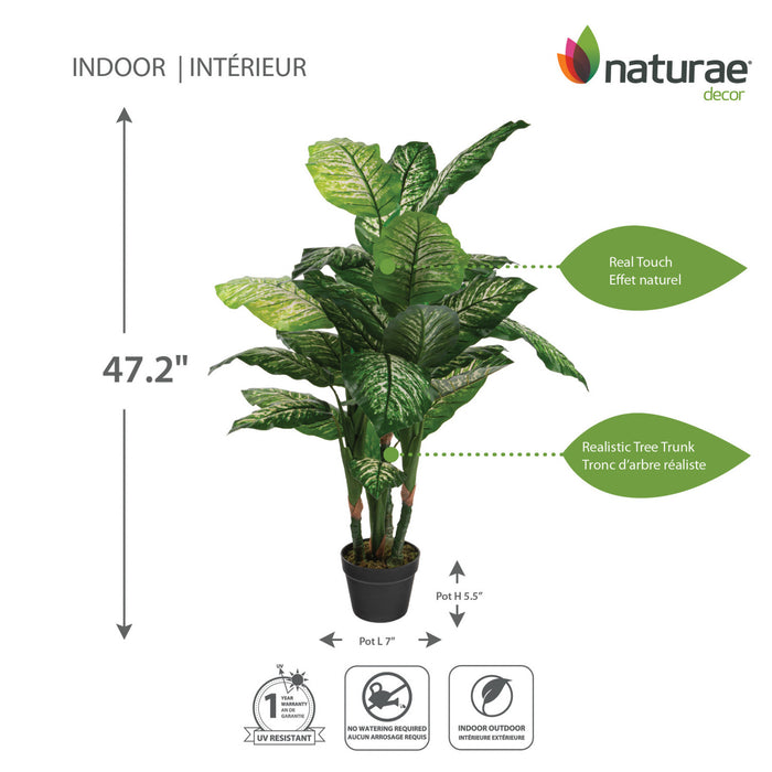 Artificial 47\" Dieffenbachia In Black Pot