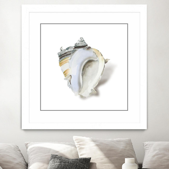 \"Seafoam Shell\" Matted and Framed White 30x30 Wall Art